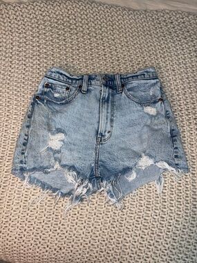 Abercrombie & Fitch Curve Love Shorts - Women